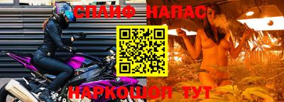 стаф Будённовск