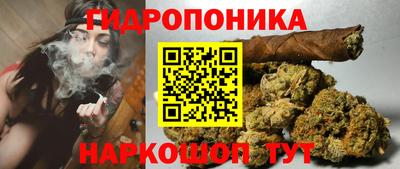 стаф Будённовск