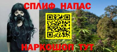 стаф Будённовск