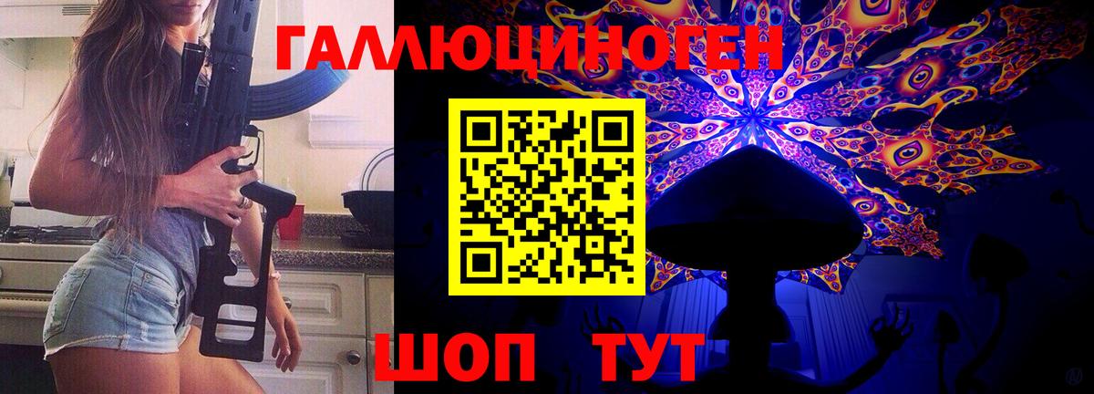 Светлоград  Псилоцибиновые грибы Psilocybine cubensis  Вход с VPN 