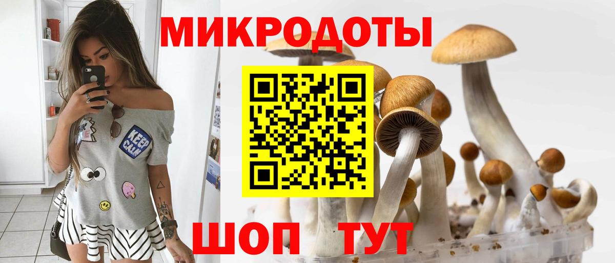 Галлюциногенные грибы GOLDEN TEACHER Светлоград